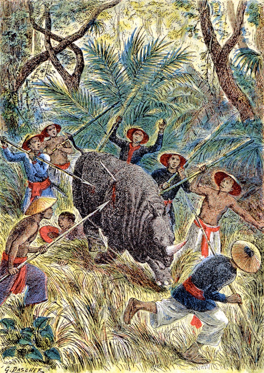サイ狩り、フランス領インドシナ、1900年頃（イラスト） 作： G.ダッシャー