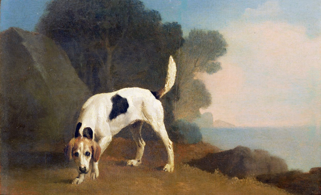 フォックスハウンド・オン・ザ・セント、1760年頃（板に敷いた紙に油彩） 作： ジョージ・スタッブス