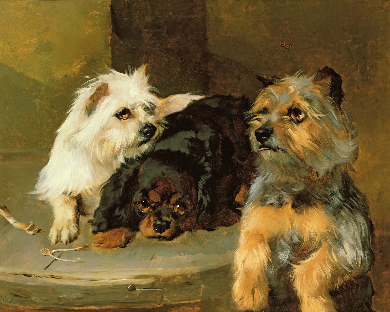かわいそうな犬に骨を与える 作： ジョージ・ウィリアム・ホラー