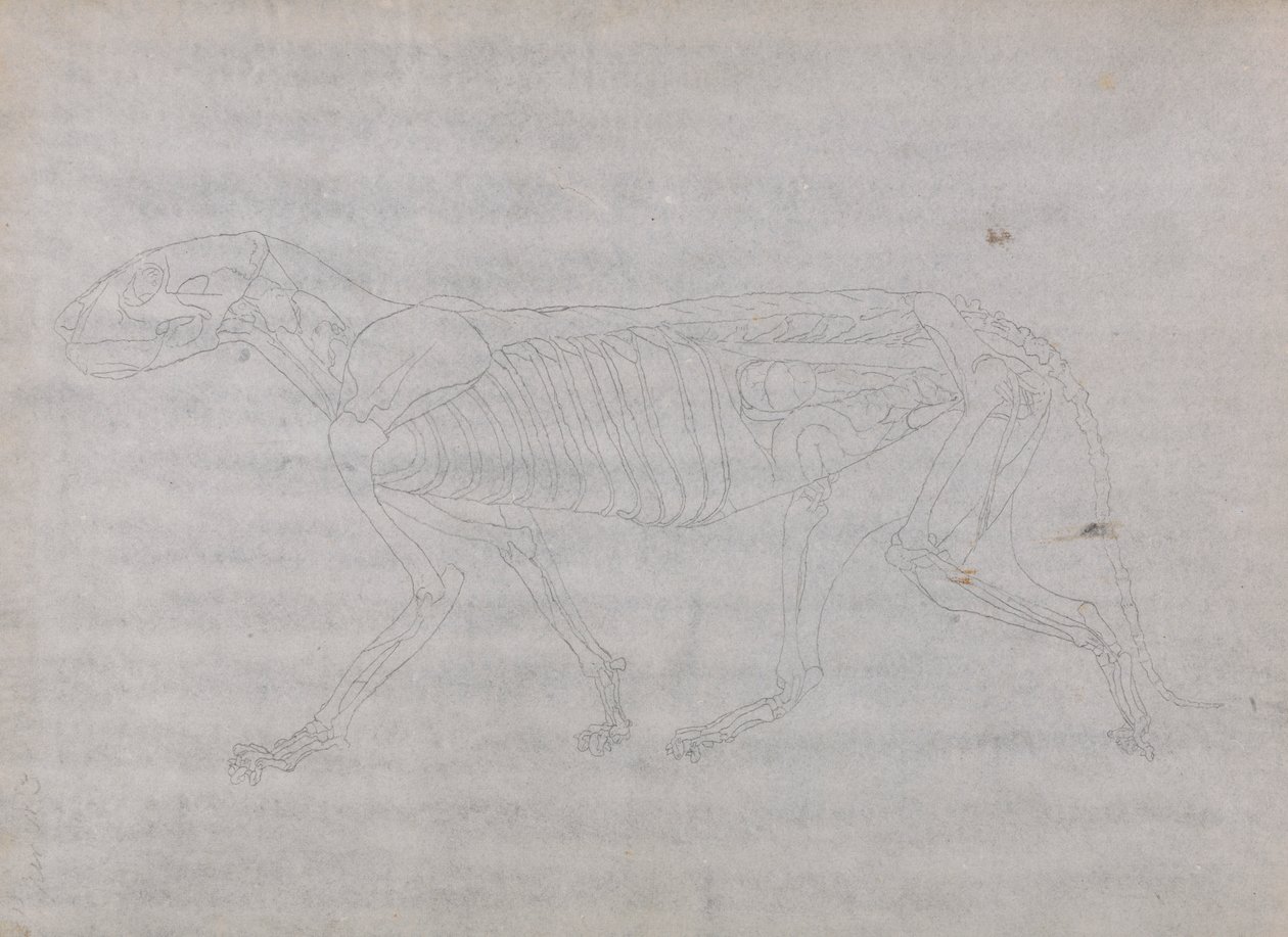 Tiger Body, Lateral View   1433913   ja       japanese Successfully Translated  Original: French Soldiers in the Trenches, Chemin des Dames Translat: French Soldiers in the Trenches, Chemin des Dames 1456504 ja japanese Successfully Translated Original: Be 作： ジョージ・スタッブス
