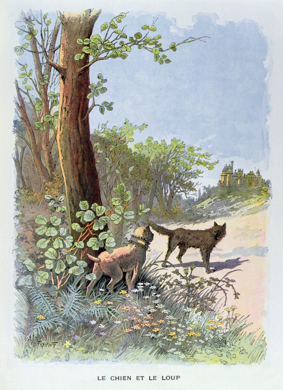 犬と狼、Librairies-Imprimeries Reuniesから出版されたJean de La Fontaine（1621-95）による &39;Fables Choisies de la Fontaine&39;から（カラー彫刻） 作： ジョルジュ・フライポント