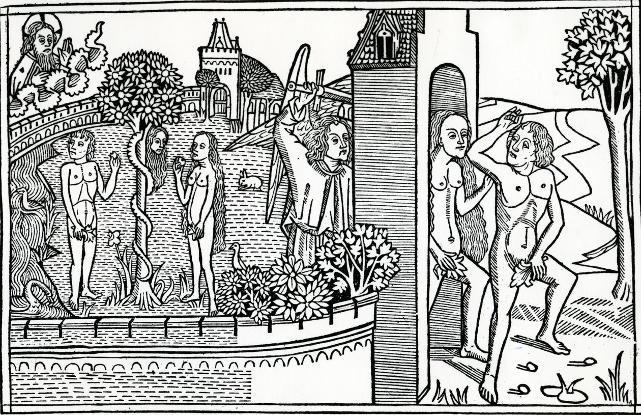 1478年に出版された人の堕落、クエンテル聖書の挿絵 作： ドイツ語学校
