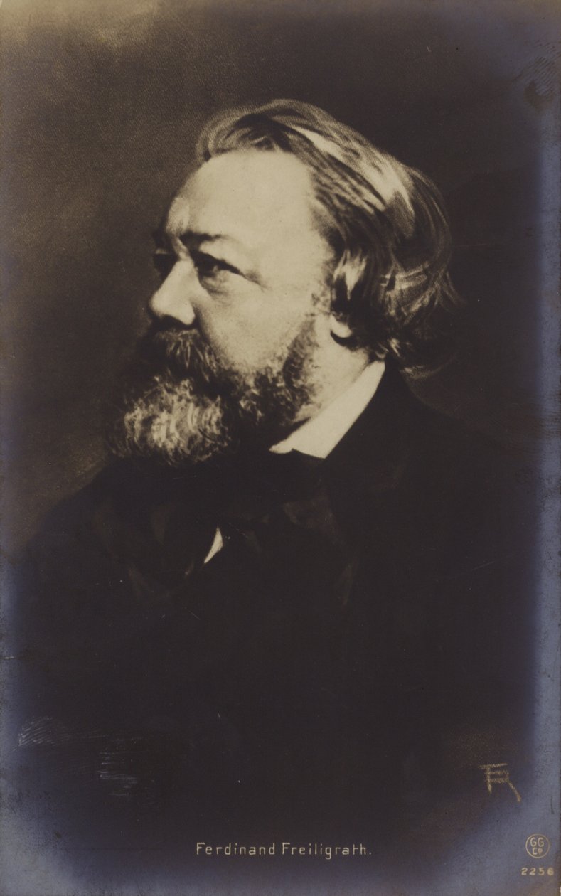 フェルディナント・フライリヒラート（1810-1876）、ドイツの詩人（モノクロ写真） 作： ドイツの写真家