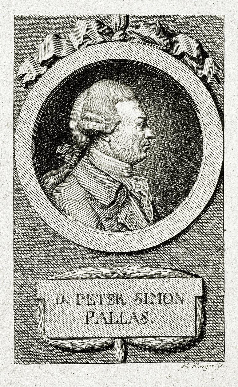 ピーター・シモン・パラス（1741～1811）（線刻画 作： ドイツ語学校