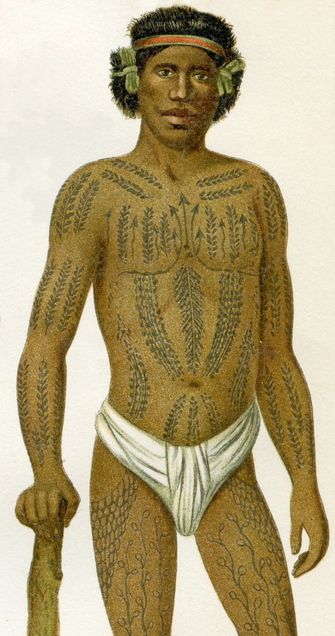 キャロライン諸島からの刺青の男、1894 作： ドイツ語学校