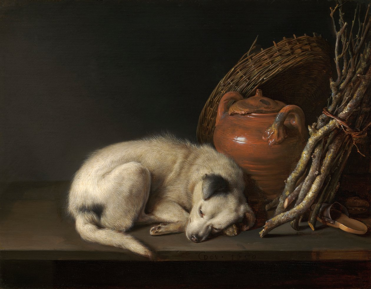 眠っている犬 作： ゲリット・ドゥ