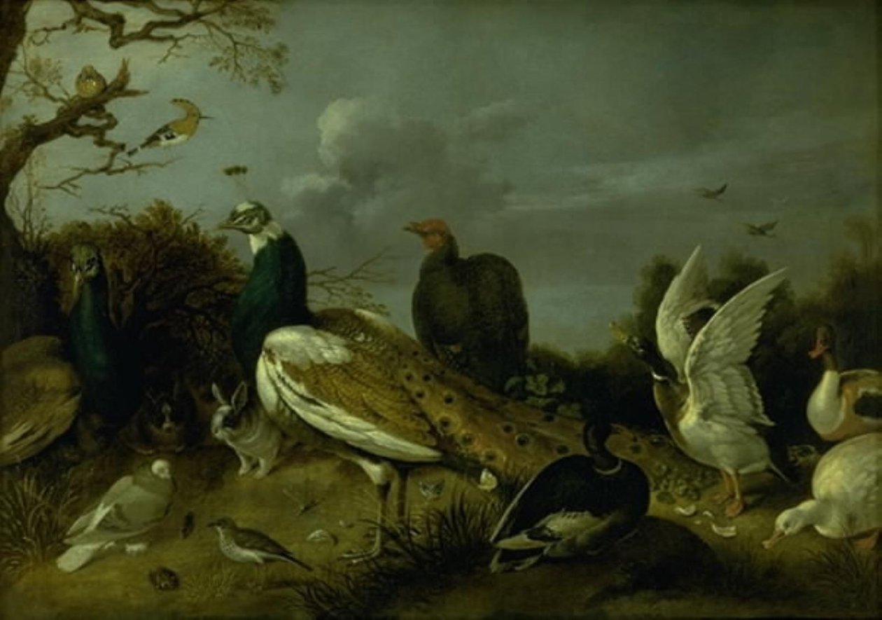 クジャク、アヒル、その他の動物 作： Gijsbert Gillisz de Hondecoeter