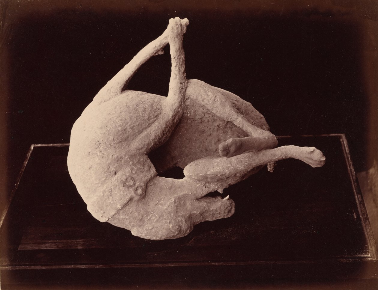 キャスト、ポンペイ、c.1870年（写真） 作： ジョルジオの夏
