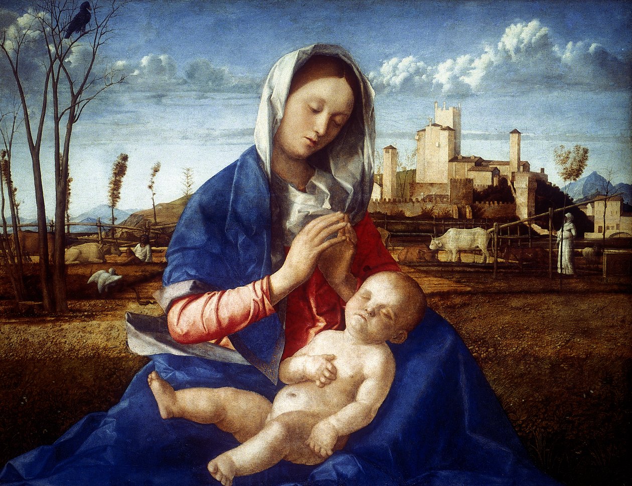 牧草地のマドンナ、c1500 作： ジョバンニ・ベリーニ