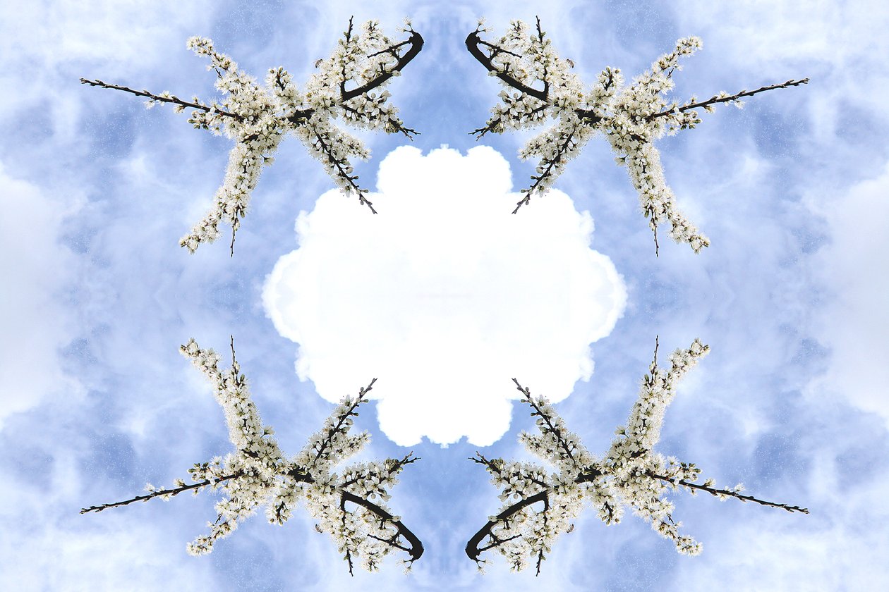 Unnatural 115（デジタルで加工された写真 作： ジョヴァンニ・カファーニャ