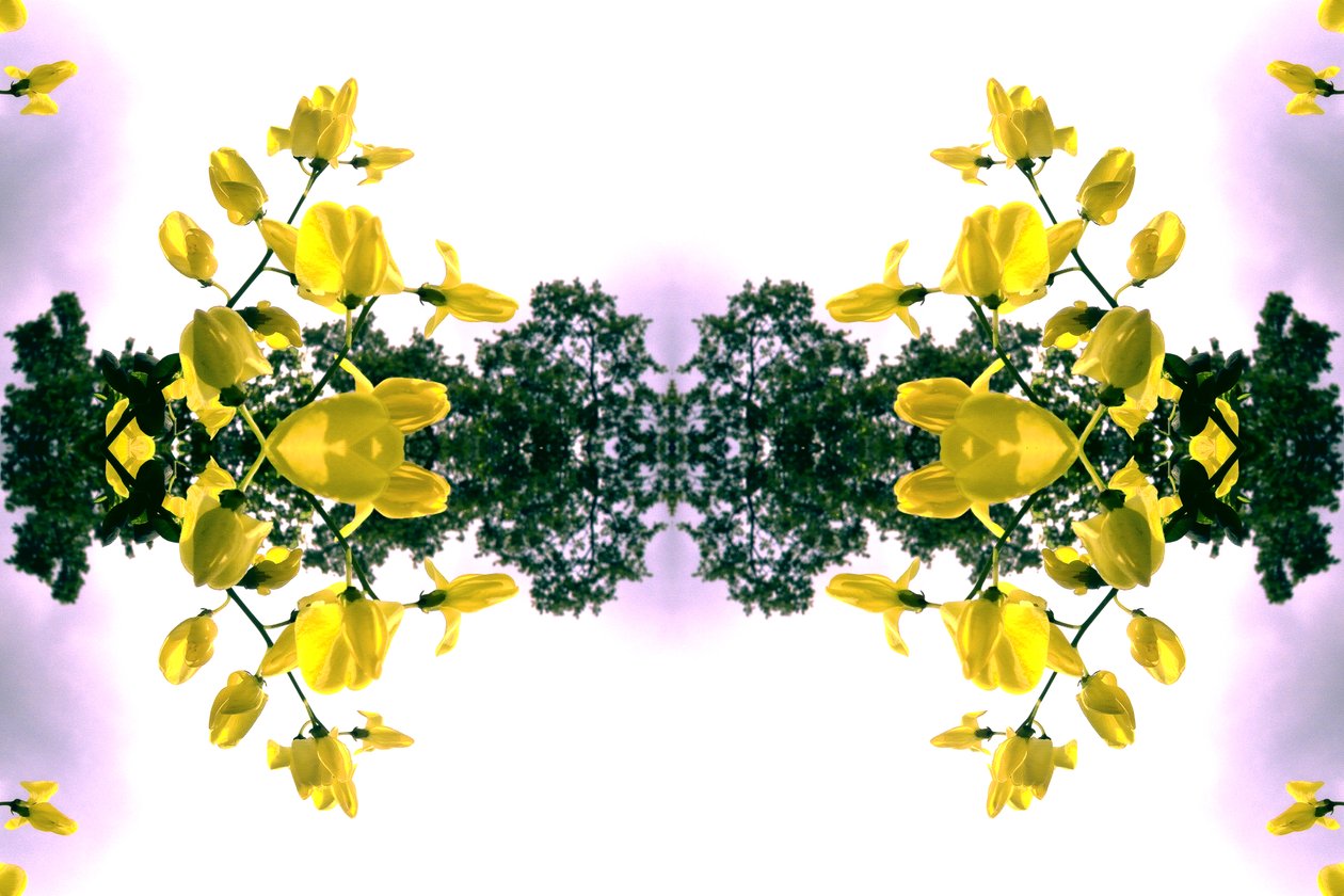 Unnatural 151.2（デジタル処理された写真 作： ジョヴァンニ・カファーニャ