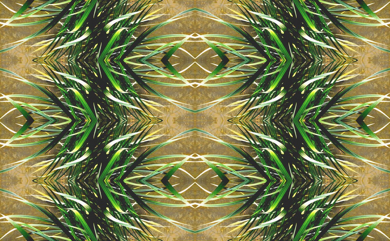 Unnatural 16（デジタル処理された写真） 作： ジョヴァンニ・カファーニャ