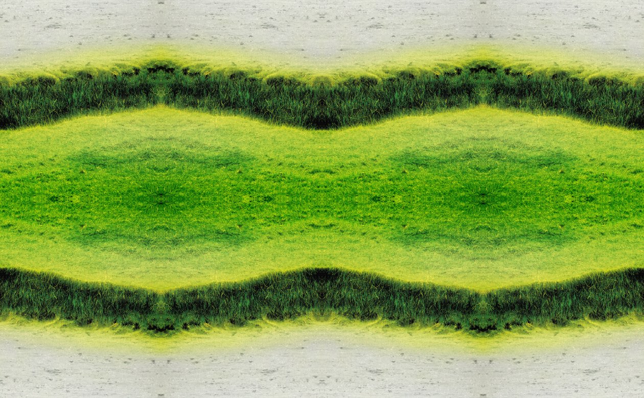 Unnatural 2.1（デジタル処理された写真） 作： ジョヴァンニ・カファーニャ