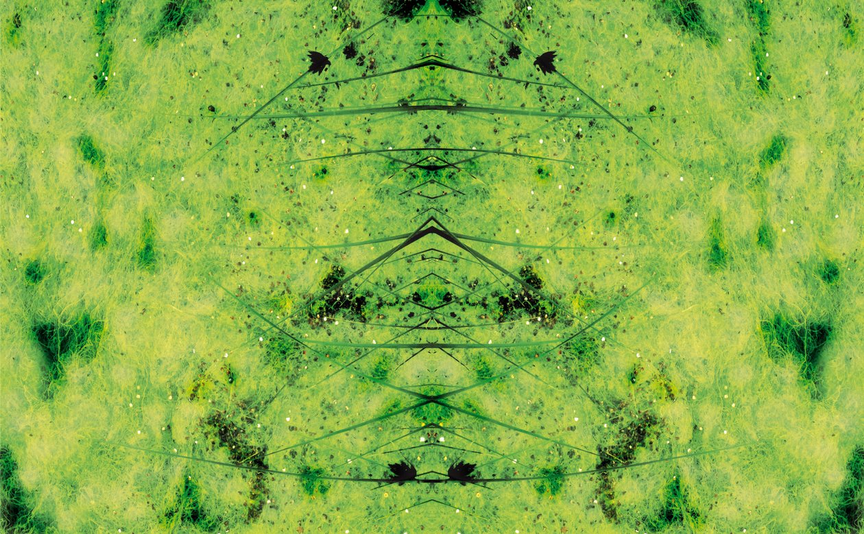 Unnatural 3（デジタル処理された写真） 作： ジョヴァンニ・カファーニャ