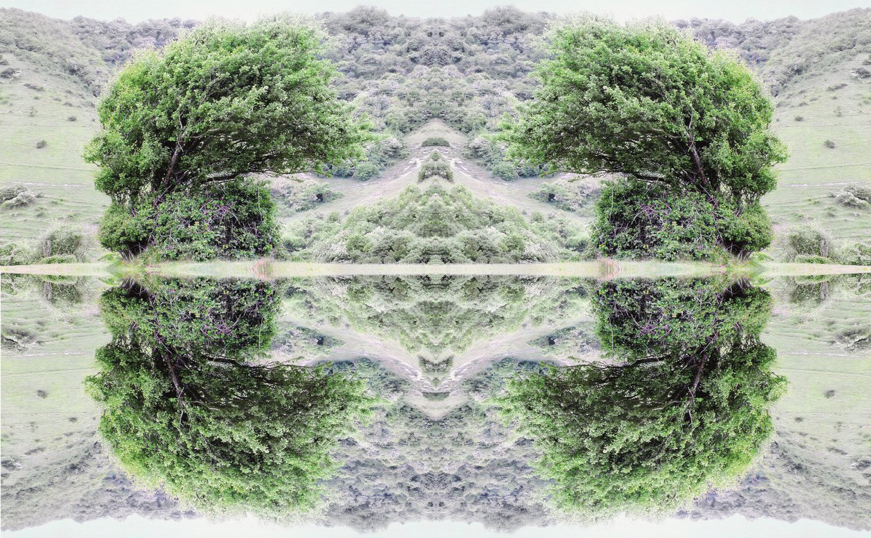 Unnatural 40（デジタル処理された写真） 作： ジョヴァンニ・カファーニャ