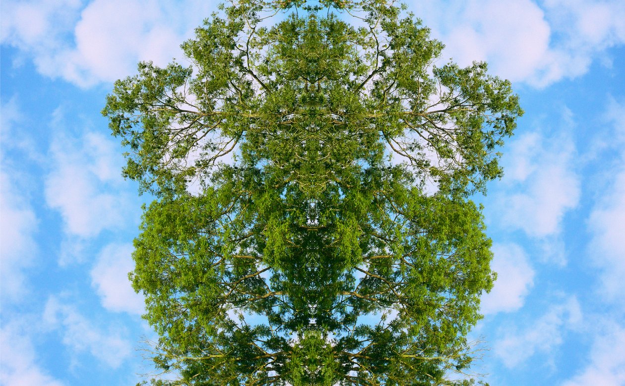 Unnatural 46（デジタル処理された写真） 作： ジョヴァンニ・カファーニャ