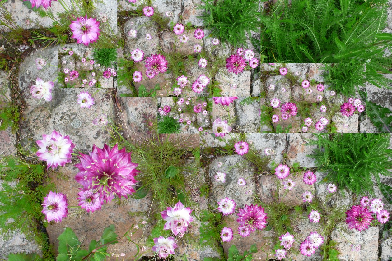 Unnatural 60（デジタル処理された写真） 作： ジョヴァンニ・カファーニャ