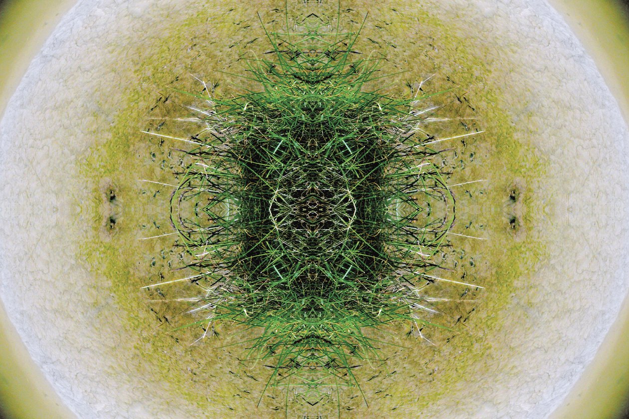 Unnatural 6.1（デジタル操作された写真） 作： ジョヴァンニ・カファーニャ