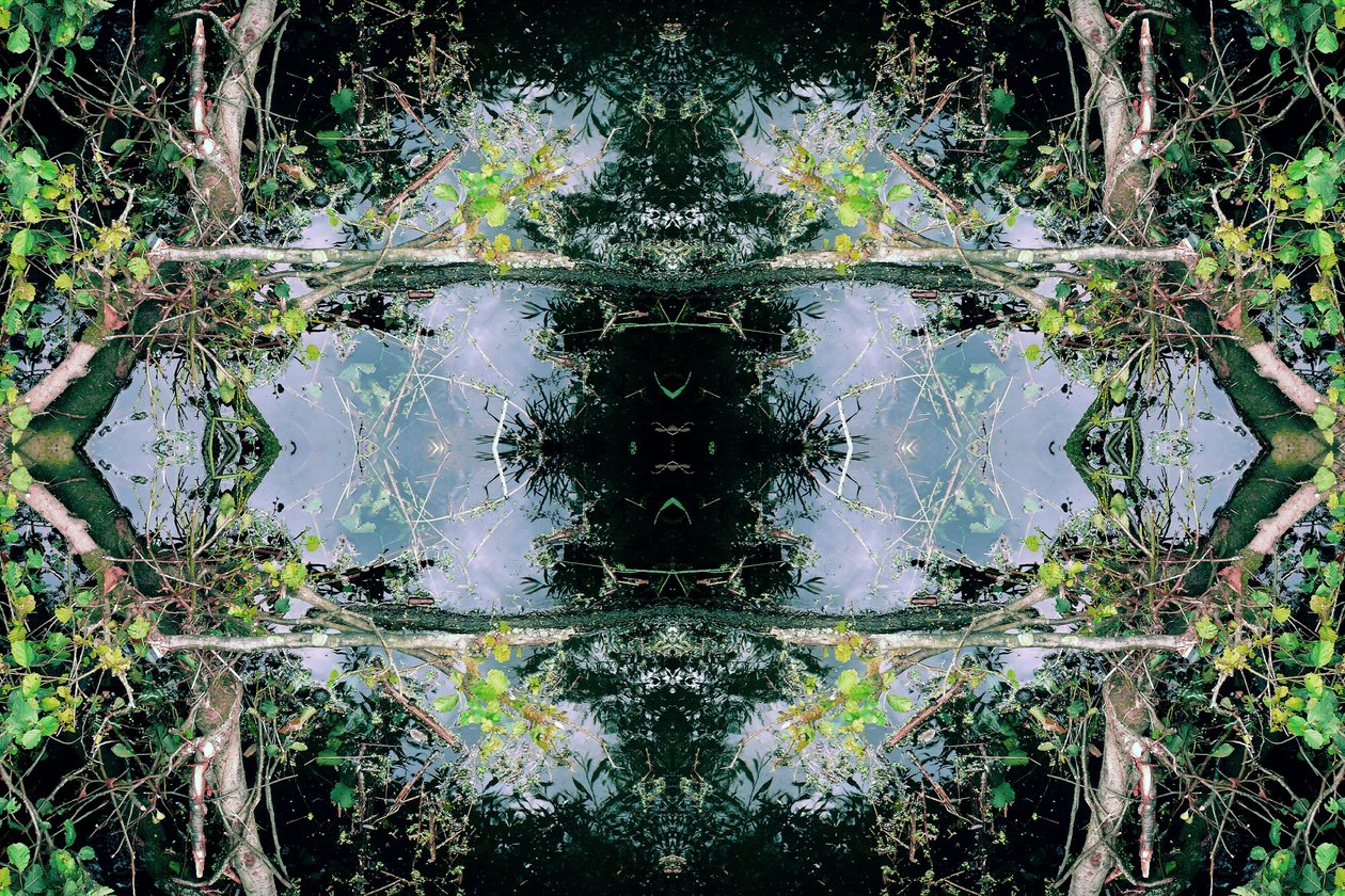 Unnatural 73（デジタル処理された写真） 作： ジョヴァンニ・カファーニャ