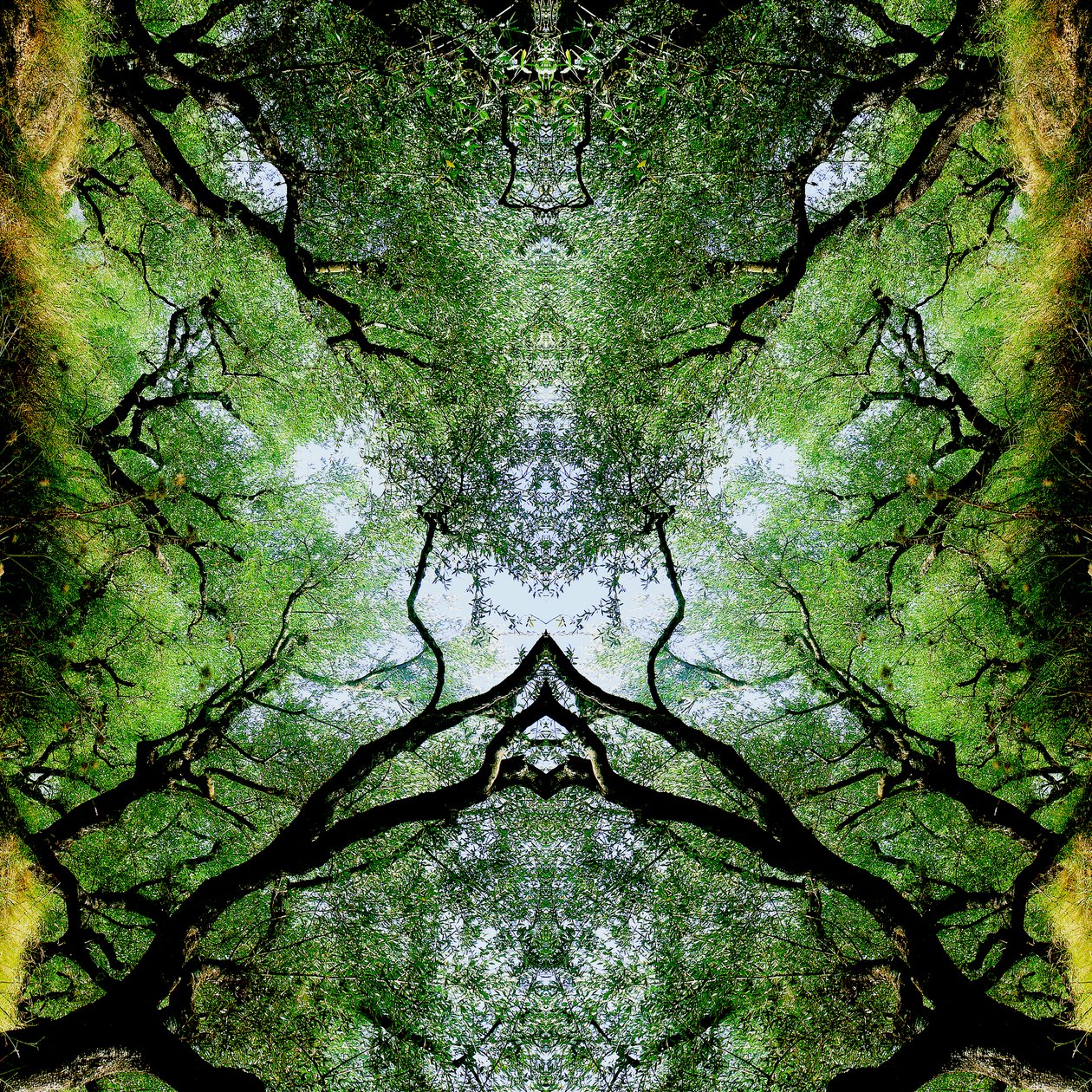 Unnatural 75（デジタル処理された写真） 作： ジョヴァンニ・カファーニャ
