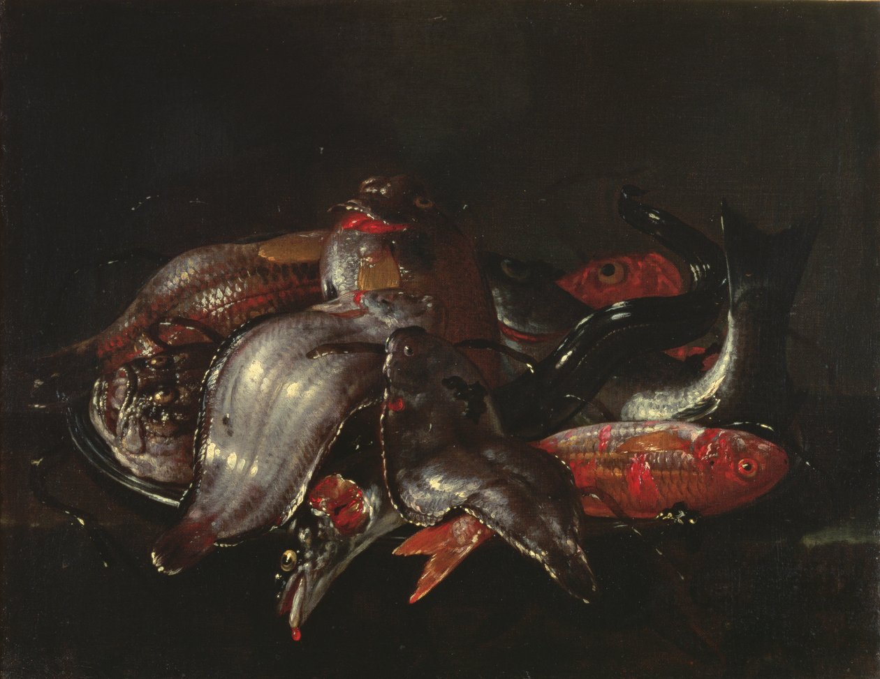 魚の静物、1670〜80年頃 作： ジュゼッペ・レッコ