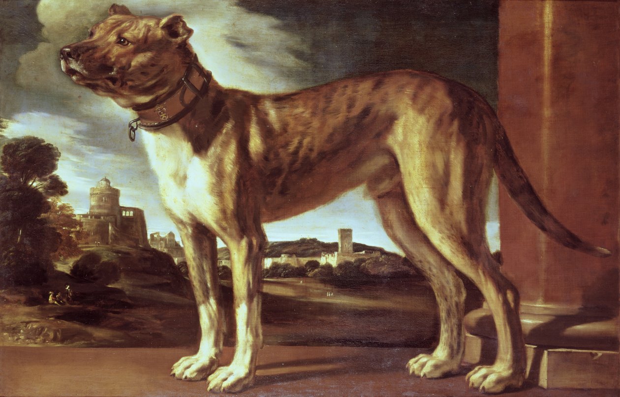 犬の肖像 作： ジョバンニフランチェスコバルビエリ（イルゲルチーノ）