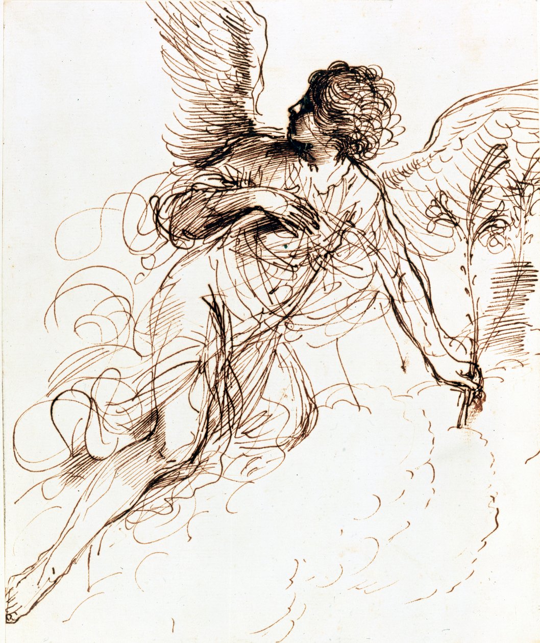 天使の研究、c1611-1666 作： グエルチーノ