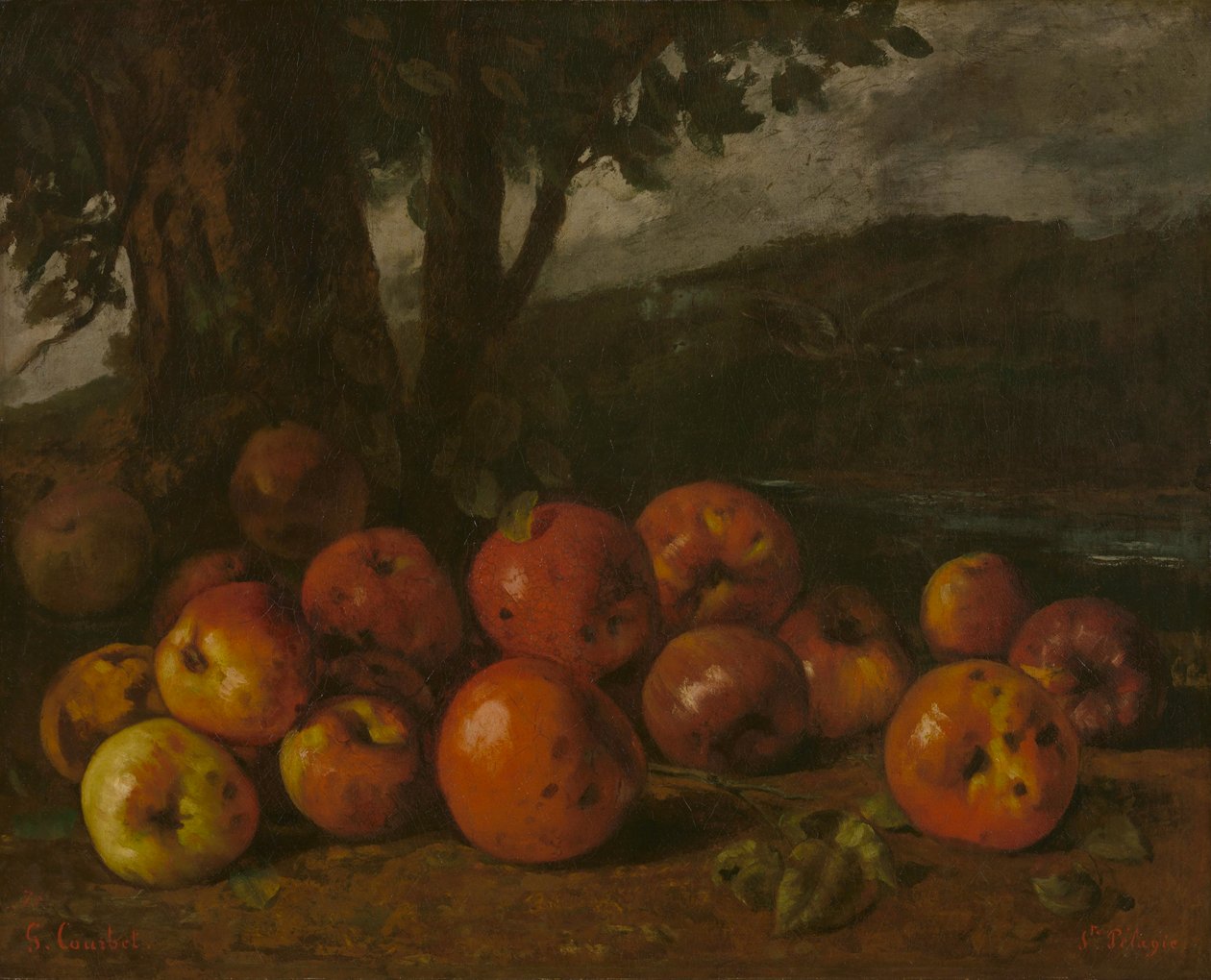 クールベ - リンゴのある静物画、1872年 作： ギュスターヴ・クールベ