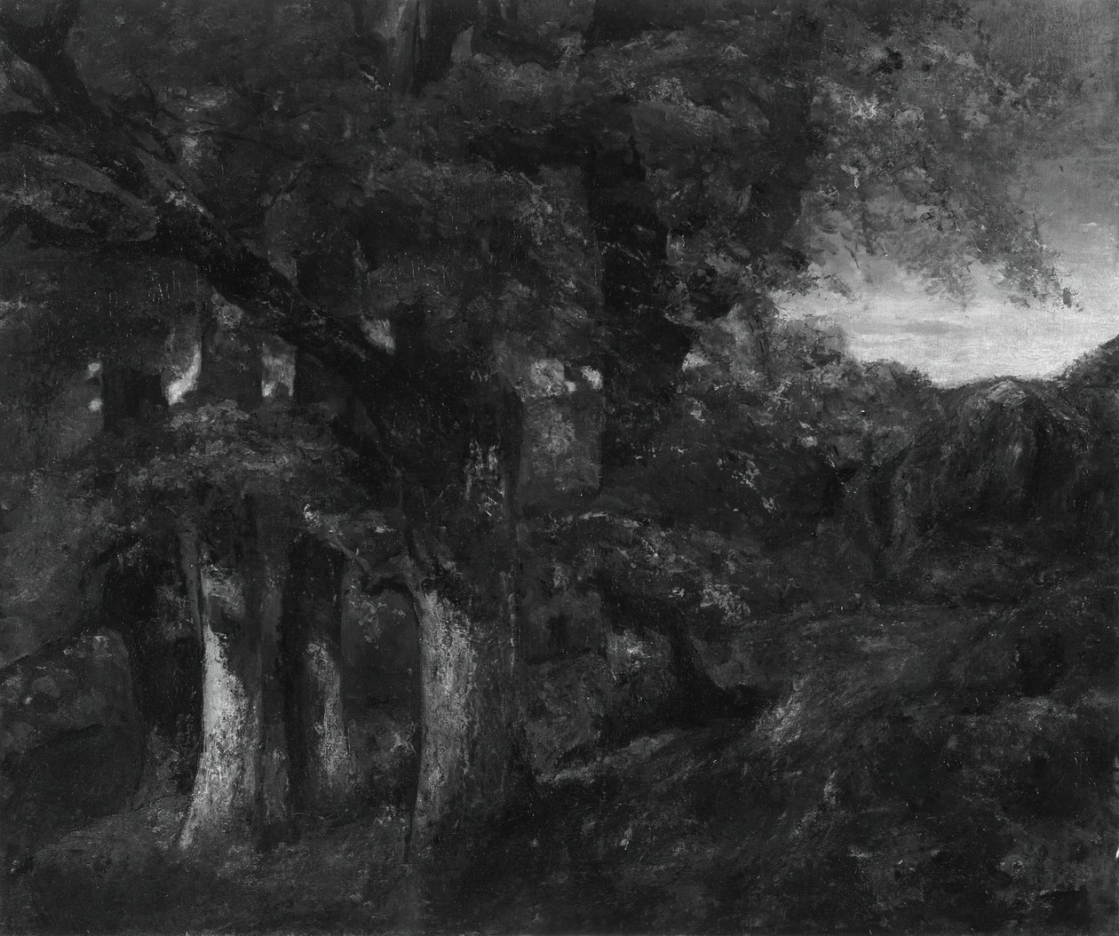 樹木が茂った風景、181977。 作： ギュスターヴ・クールベ