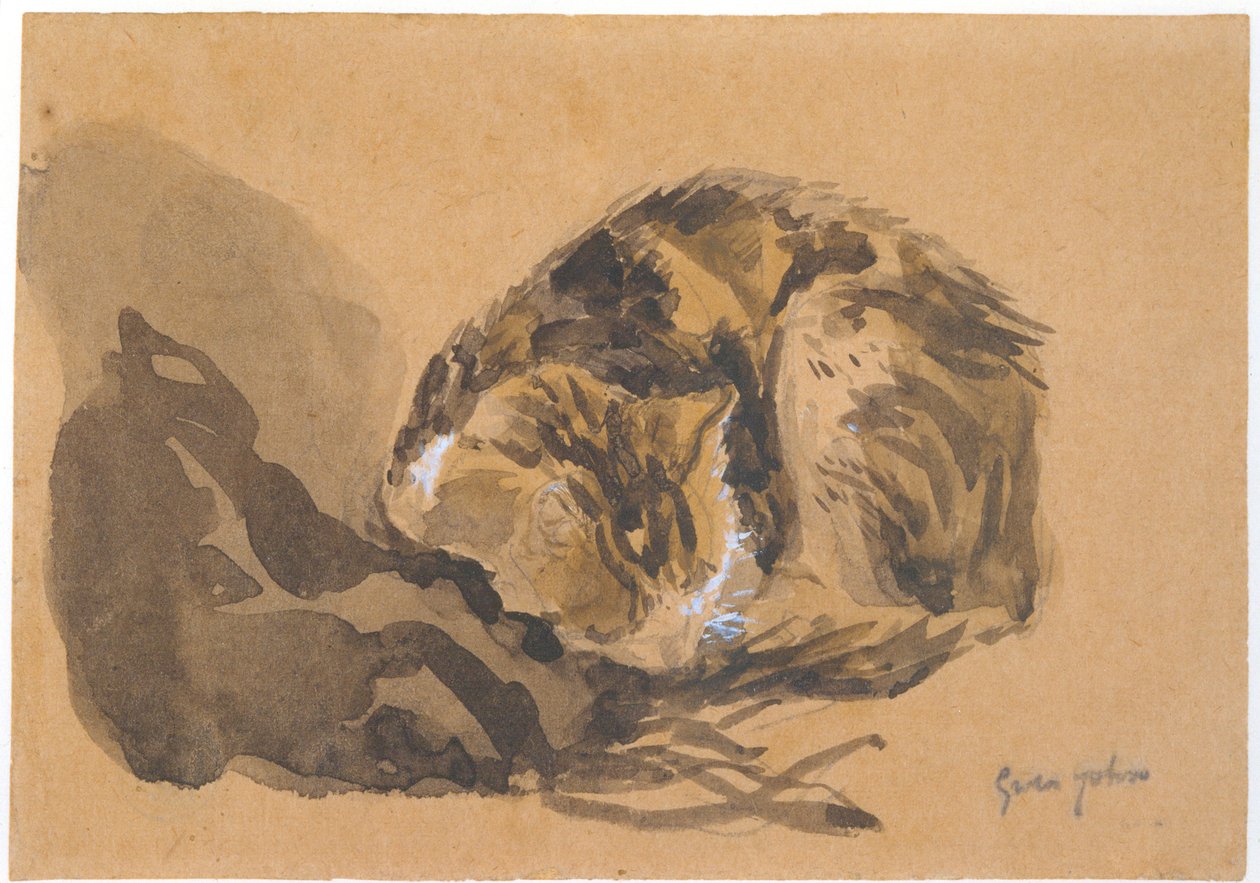 猫の研究、1905-08 作： グウェン・ジョン
