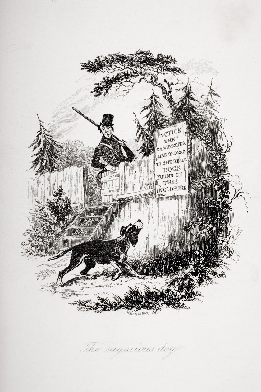 賢明な犬、チャールズディケンズの「The Pickwick Papers」（1812-70）のイラスト、1837年発行 作： ハブロナイト・ブラウン