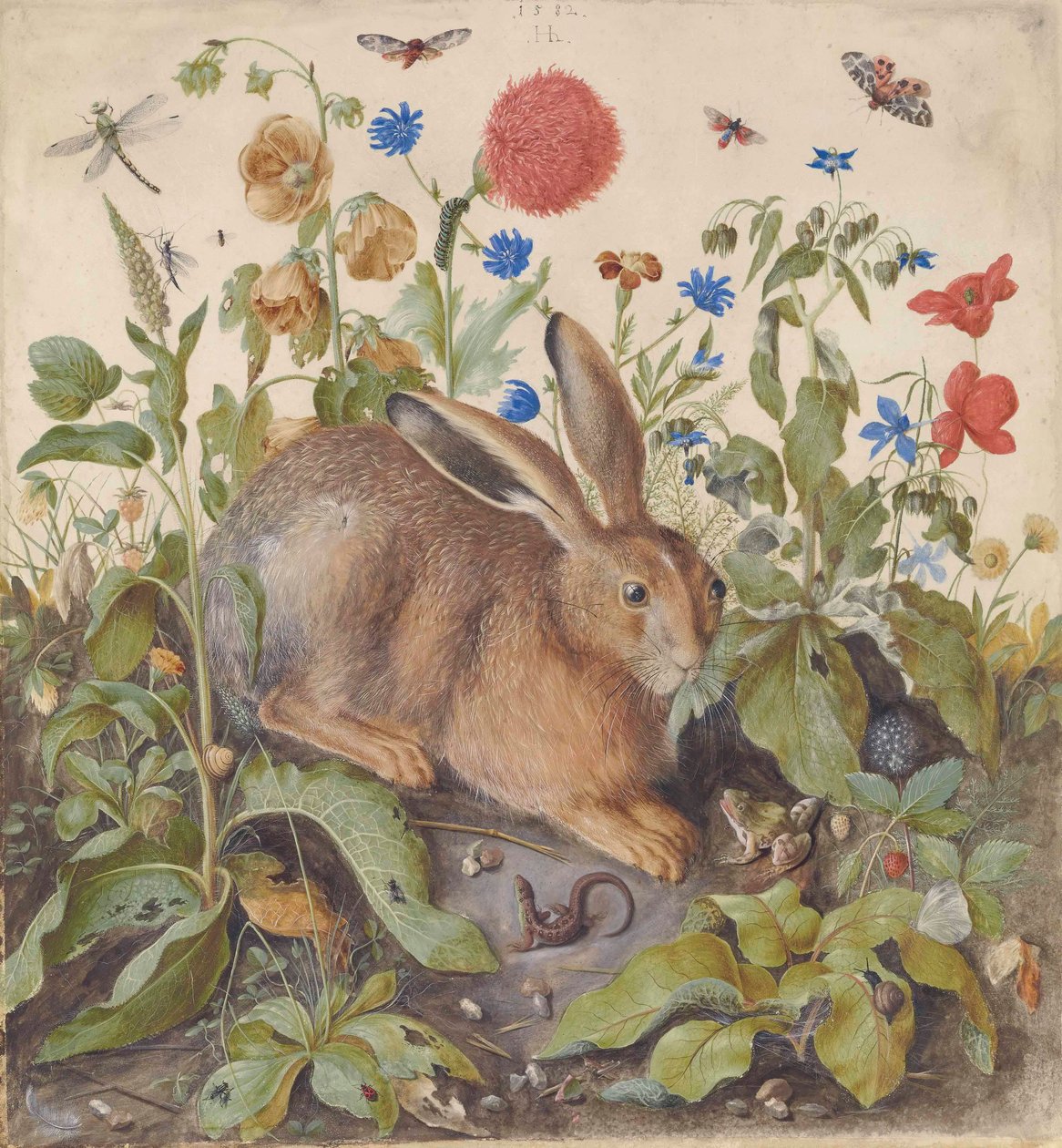 植物の中のウサギ 作： ハンス・ホフマン