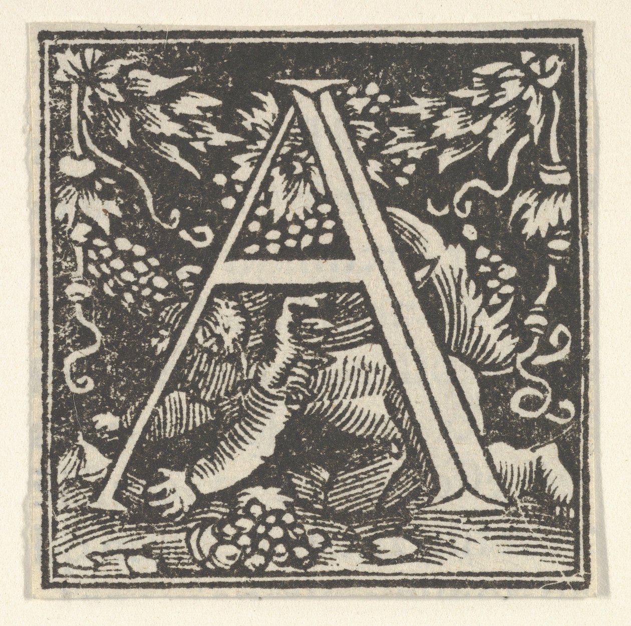 putto 付きの頭文字 A、ca. 1538年。 作： ハインリッヒ・フォグサー