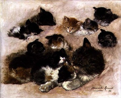 猫と子猫の研究 作： アンリエットロンナーニップ