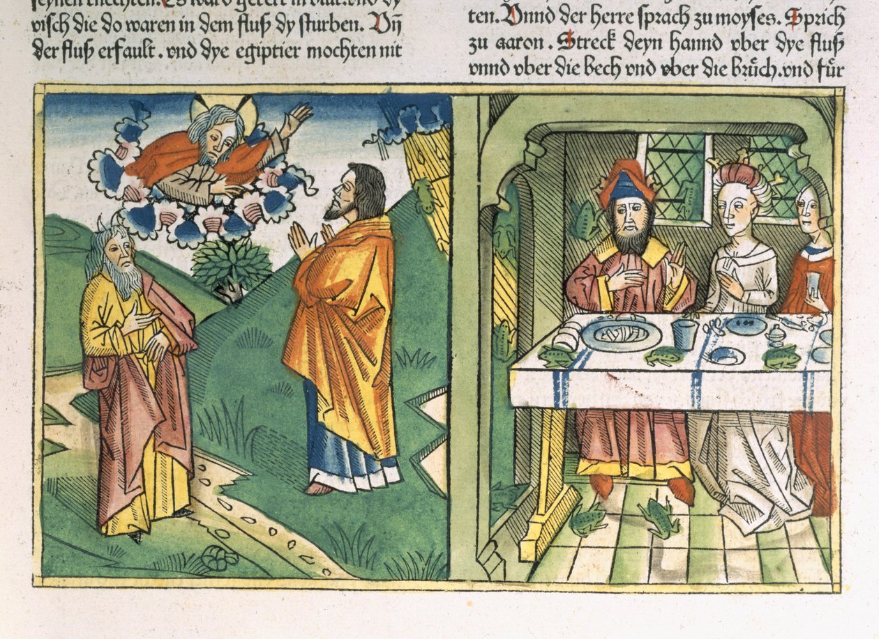 出エジプト記8 1-15エジプトの7つの疫病：モーセとカエルの疫病、「ニュルンベルク聖書（Biblia Sacra Germanaica）」（色の木版画）から 作： ヘンリールーム