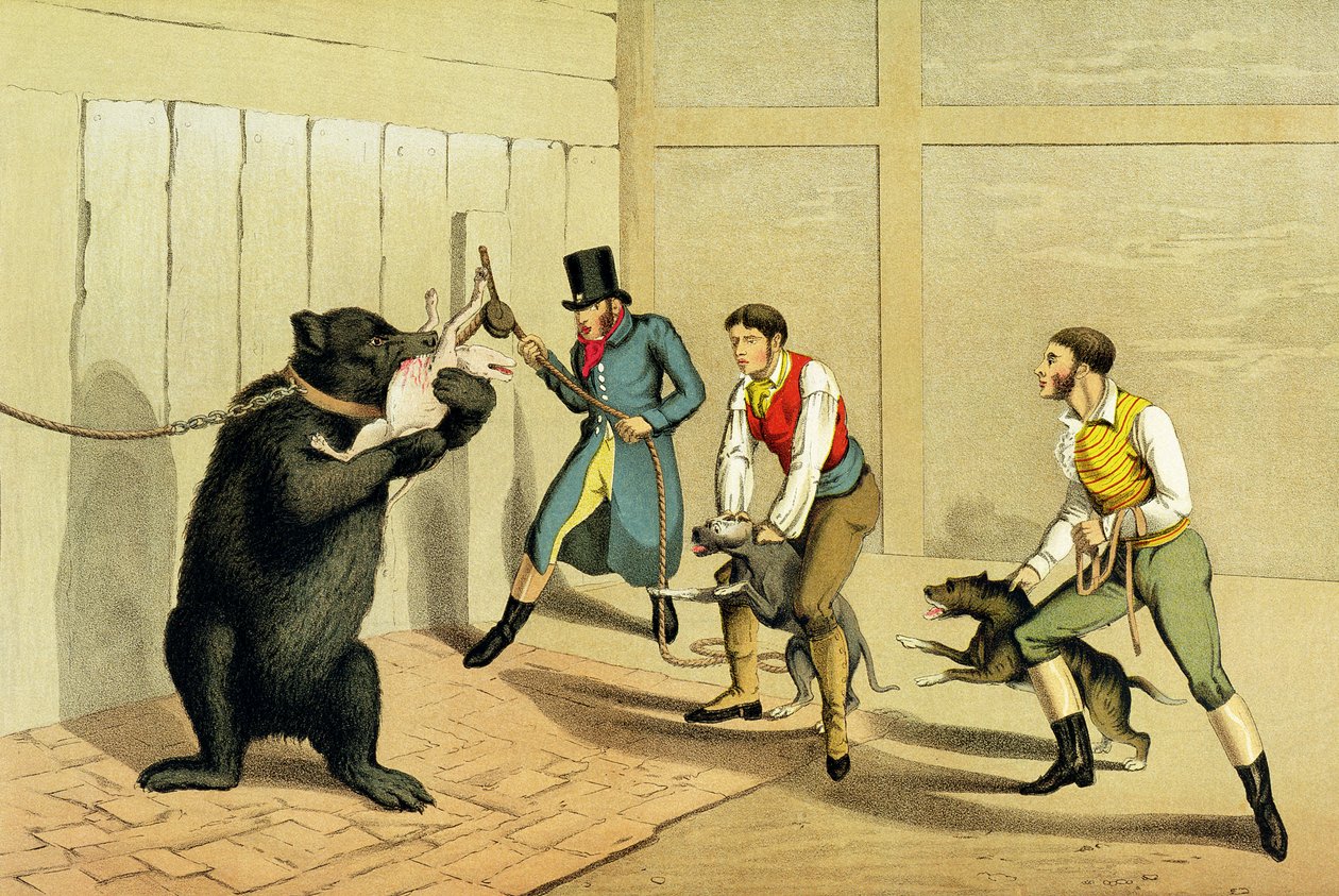 「ベアベイティング」、パブ。 Thomas McLean、1820年（スポーツプリント） 作： ヘンリー・トーマス・アルケン