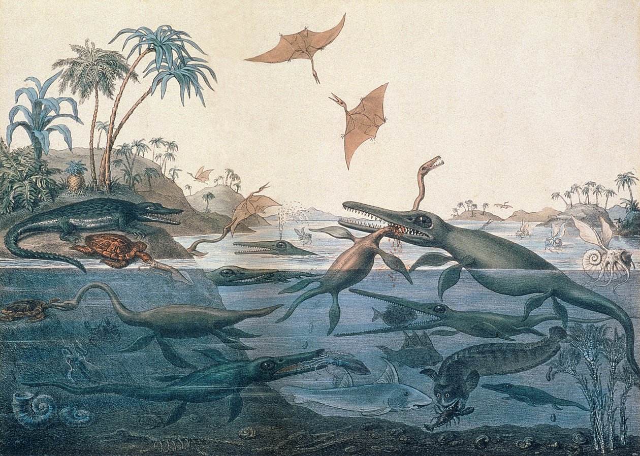 ジュリア海の生命の想像力に富んだ再構成であるデュリアの古風な作品（古代ドーセット）は、チャールズジョセフハルマンデル（1789-1850）によって印刷されたジョージシャーフ（1820-95）によって彫刻されました。 作： ヘンリー・トーマス・デ・ラ・ベッシュ