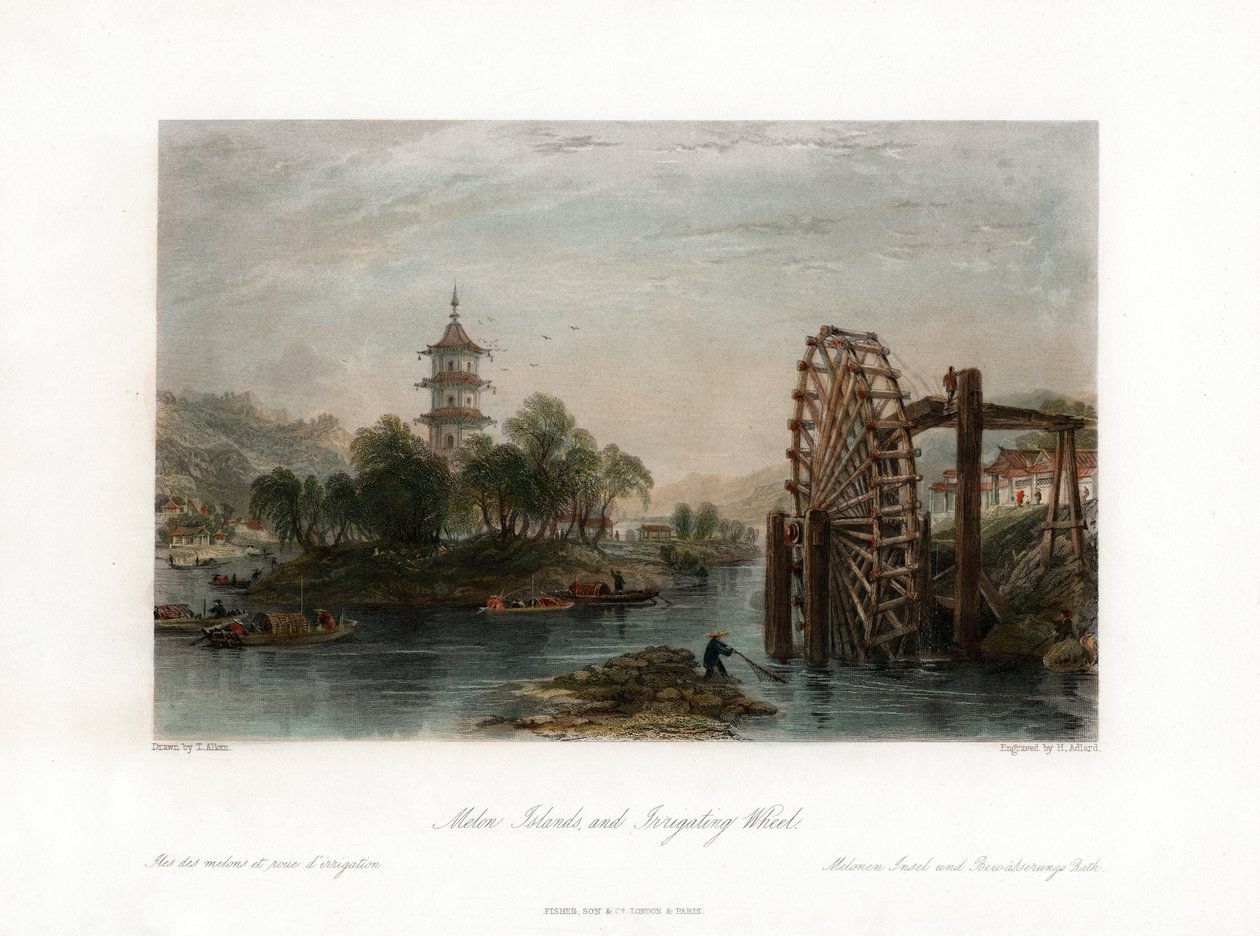 メロン諸島、および灌漑用ホイール、中国、c1840。 作： ヘンリー・アドラード