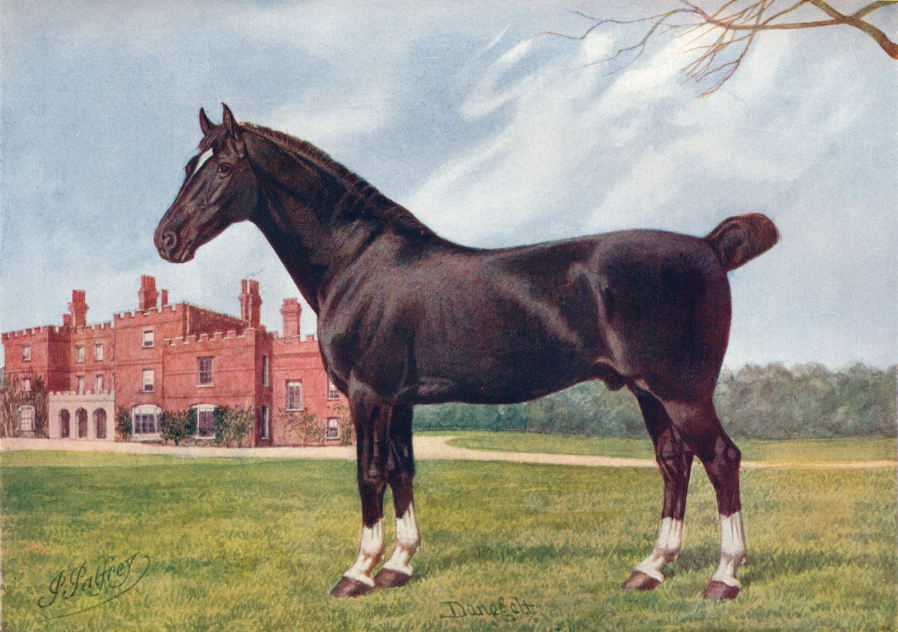 ハックニー種馬ダネゲルト、c1905 c1910 作： ヘンリー・パウエル・パルフリー