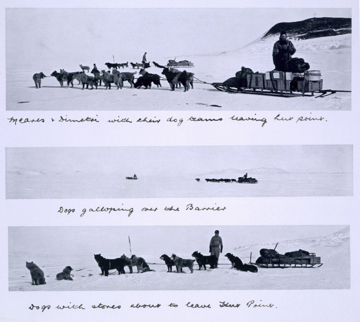 スコット船長が率いる南極への「テラノヴァ」遠征（1910-13）で、ミアーズとディメトリが率いる犬チームの3つの見方 作： ハーバート・ポンティング