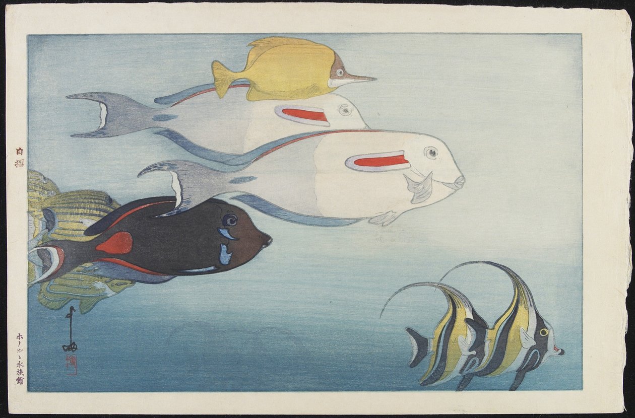 ホノルル水族館 作： 吉田博