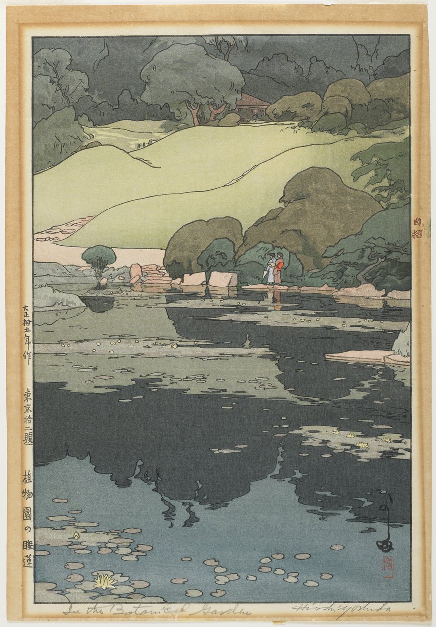 植物園の睡蓮 作： 吉田博