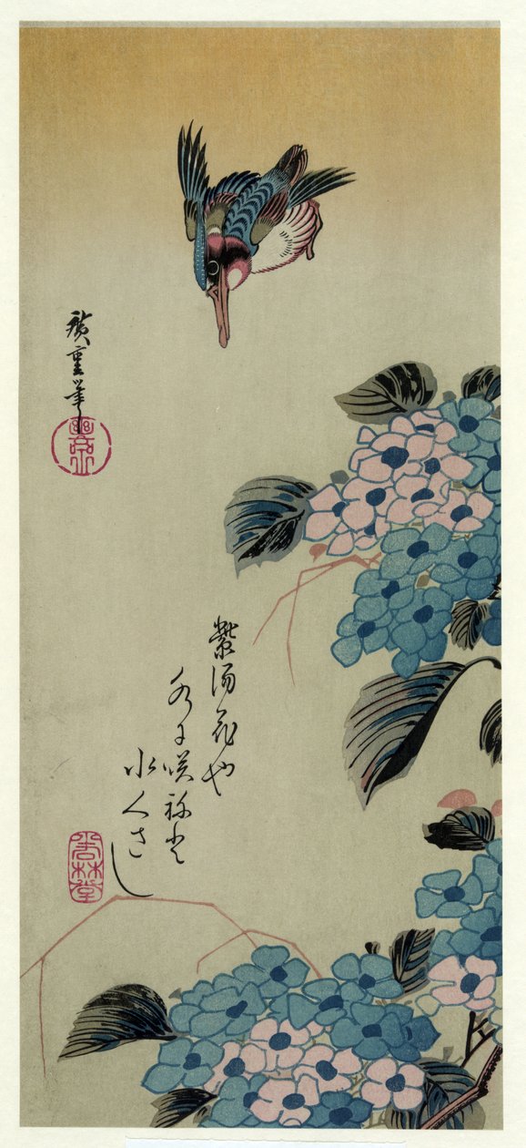 Ajisai ni Kawasemi (Hydrangea and Kingfisher) 作： 歌川広重