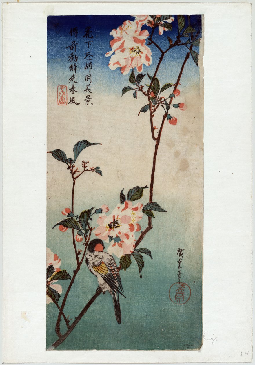 Kaido ni Shokin (Small Bird on a Branch of Kaidozakura) 作： 歌川広重