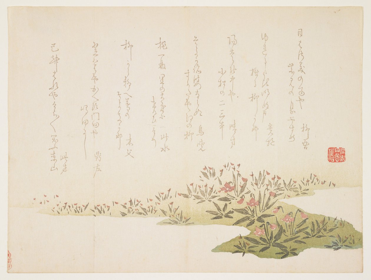 スミレ、c.1848-53（カラー木版画） 作： 