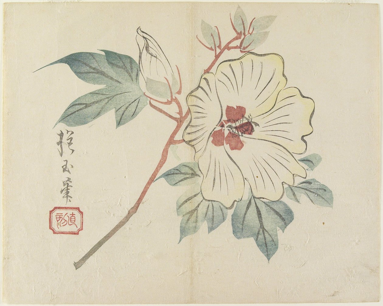 （大きな白い花）、c。 1830 作： 奉行