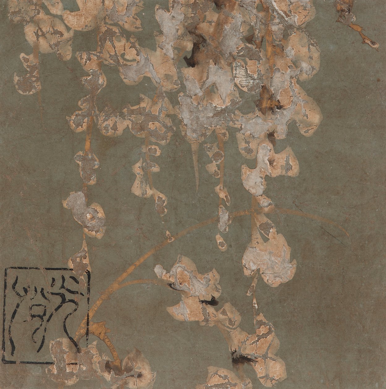 藤の花、江戸時代、17世紀初頭。 作： 本阿弥光etsu