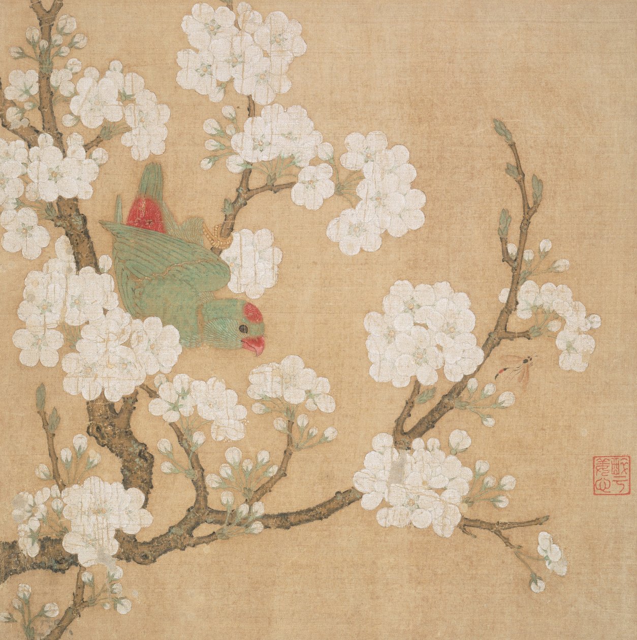 オウムとナシの花の間の昆虫 作： 黄ジュカイ