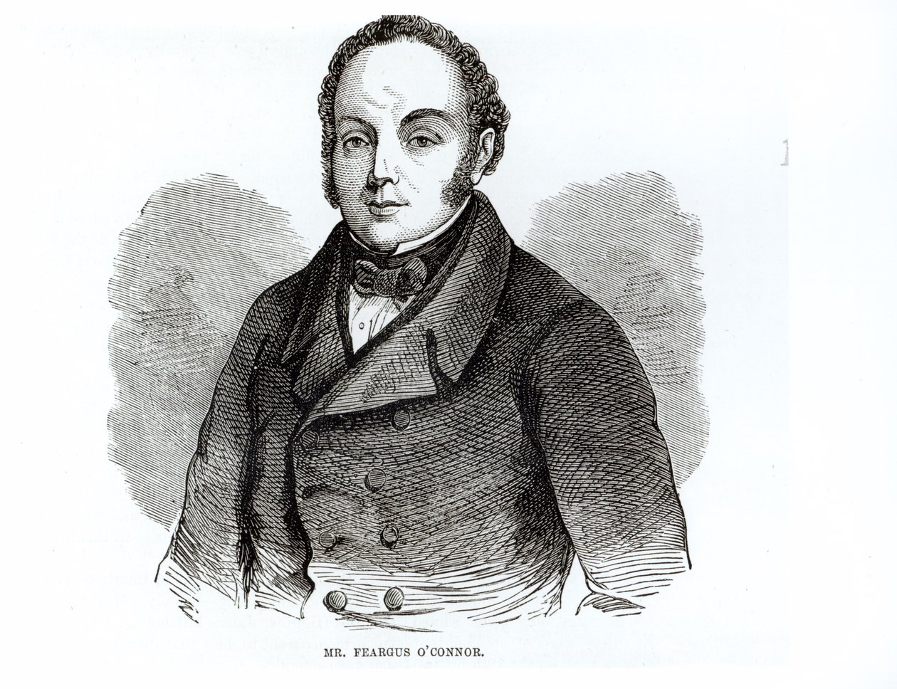 フィアガス・オコナーの肖像（1794-1855）アイルランドのチャーティスト指導者 作： アイルランドの学校
