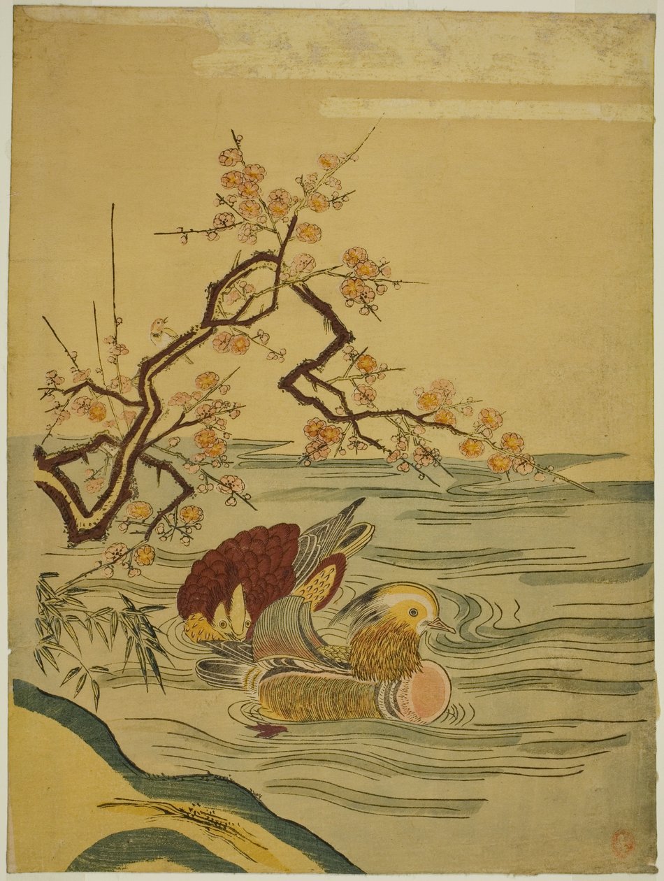 梅の枝の下を泳ぐオシドリ 作： Is田流彩